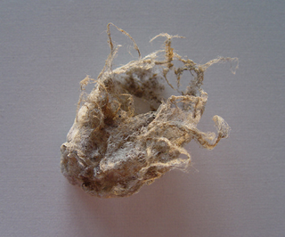 Illustration for article titled Dust Art Gallery
